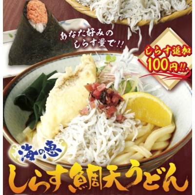 新登場‼海の恵『しらす鯛天うどん』