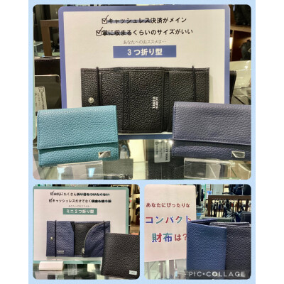 TAKEO KIKUCHI のミニ財布登場‼️