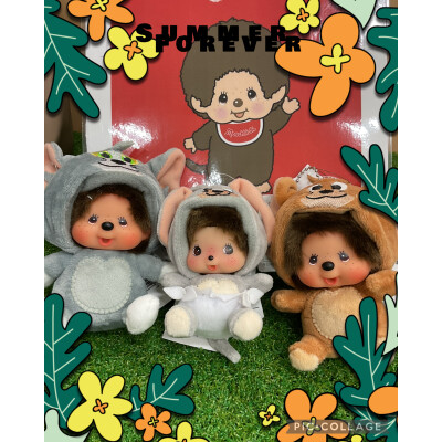 モンチッチ入荷‼️