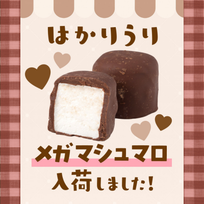 大人気！メガマシュマロ入荷しました🍫✨