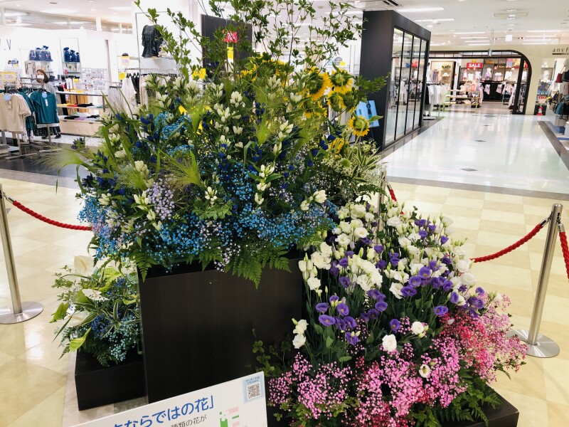 「ふくしまならではの花」展示